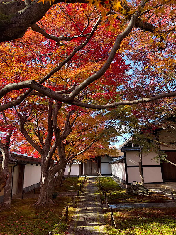 龍原院