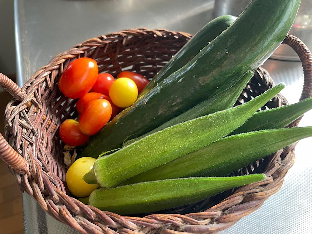 野菜