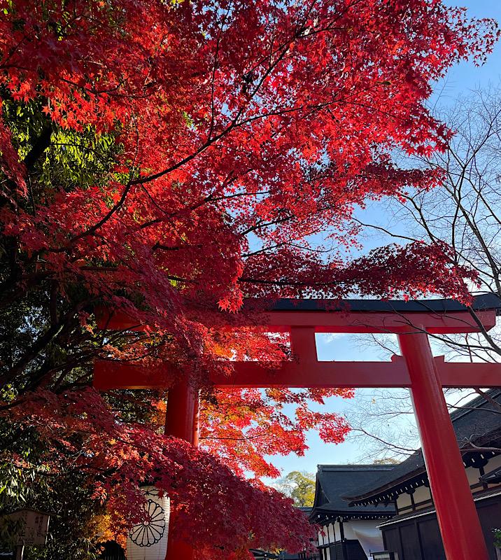 下鴨神社
