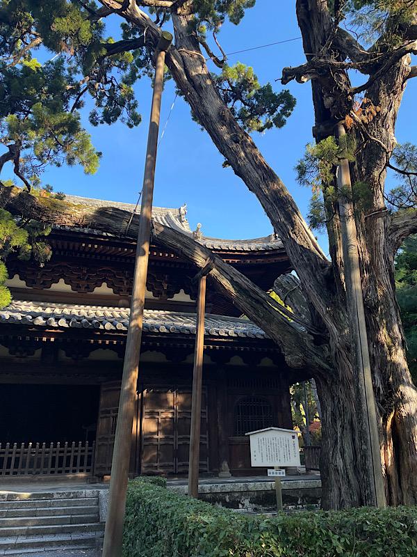 大徳寺いぶき