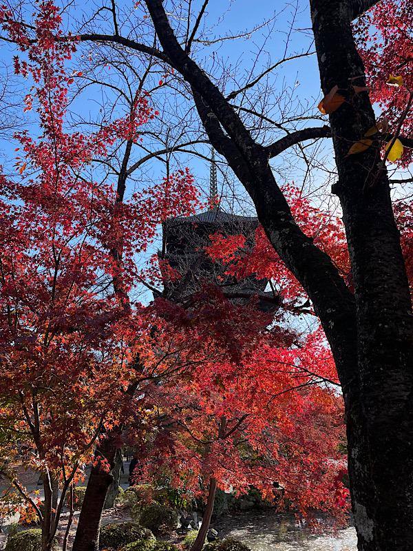 東寺